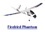 Firebird Phantom cheap rc airplane