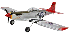P-51 Mustang PTS Trainer