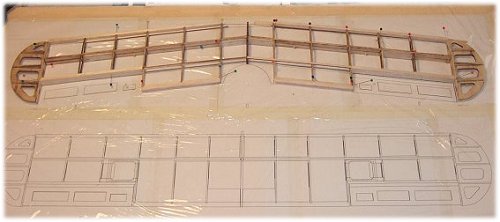 Top wing of the Pitts