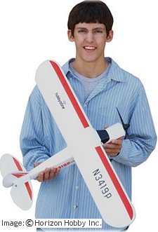 Cub Rc Plane