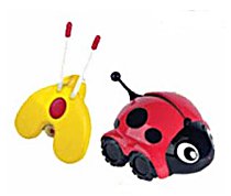 RC Lady bug