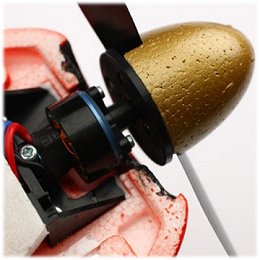 The 180 brushless outrunner motor in the UMX Beast The 180 BL motor in the UMX Beast
