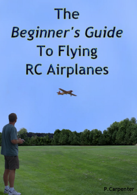 Beginner's Guide Book Cover