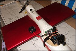 Central wing section to increase lift