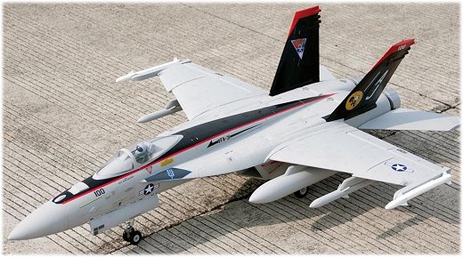 The Freewing F-18 EDF rc jet