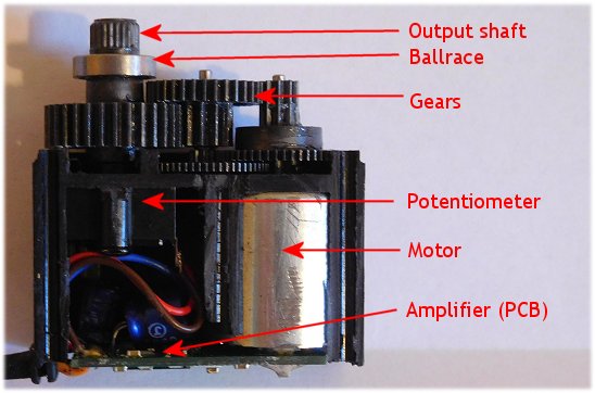 The RC Servo