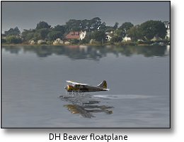 Phoenix RC flight simulator screenshot - DH Beaver floatplane