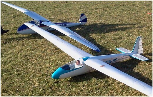 A brace of lovely scale rc sailplanes